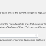 Related Posts by Categories and Tags v1.5.0 - General Options