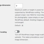 Maximum image dimension set to 0 and Disable upload scaling switched off.